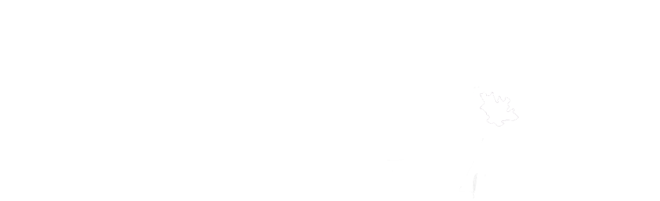 Hella Ducks Co. Store